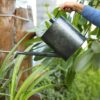 5 Liters Black Mild Steel Watering Can for Plants Supplier in Bangladesh