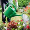 Garden Watering Can – 5L Supplier In Bangladesh