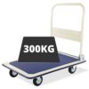 300kg Metal Platform Trolley For Lifting Heavy Weight Supplier in Bangladesh