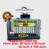 MEGA 2000K 40×80 Cow Weight Scale (TC-2000) Supplier In Bangladesh