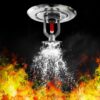 Fire Sprinkler 5 Pc Set SUPPLIER IN BANGLADESH